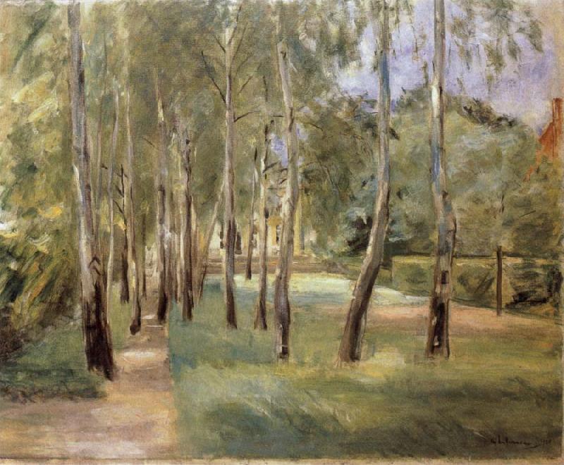 Max Liebermann The Birch-Lined Avenue in the Wannsee Garden Facing West oil painting picture